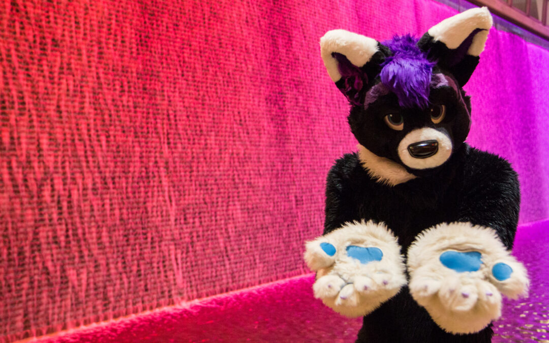 Come comportarsi in pubblico con un furry